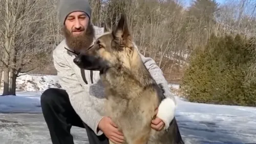 Un chien mène la police sur les lieux de l’accident de son maître...
